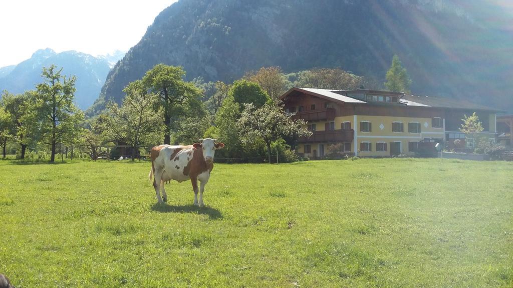 Starbauer Lejlighed Golling an der Salzach Eksteriør billede